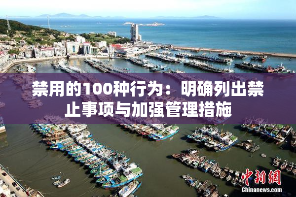 禁用的100种行为：明确列出禁止事项与加强管理措施