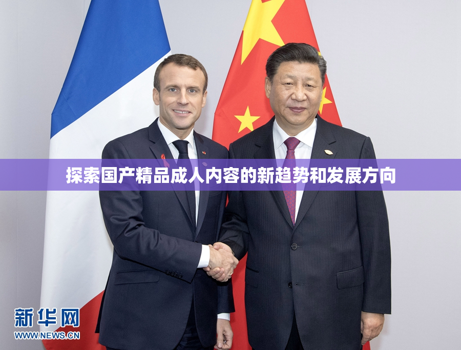 探索国产精品成人内容的新趋势和发展方向