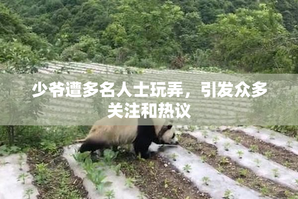 少爷遭多名人士玩弄，引发众多关注和热议