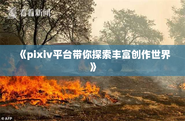 《pixiv平台带你探索丰富创作世界》