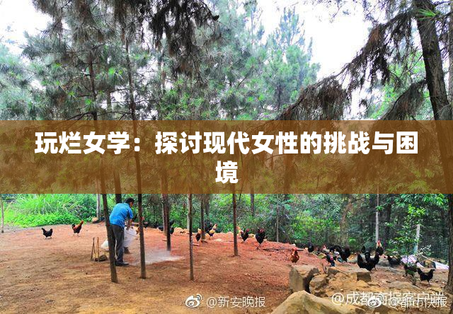 玩烂女学：探讨现代女性的挑战与困境