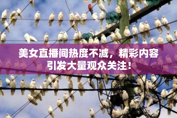 美女直播间热度不减，精彩内容引发大量观众关注！