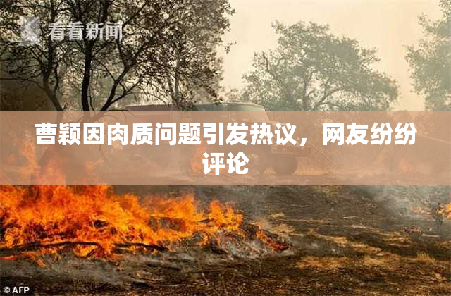 曹颖因肉质问题引发热议，网友纷纷评论