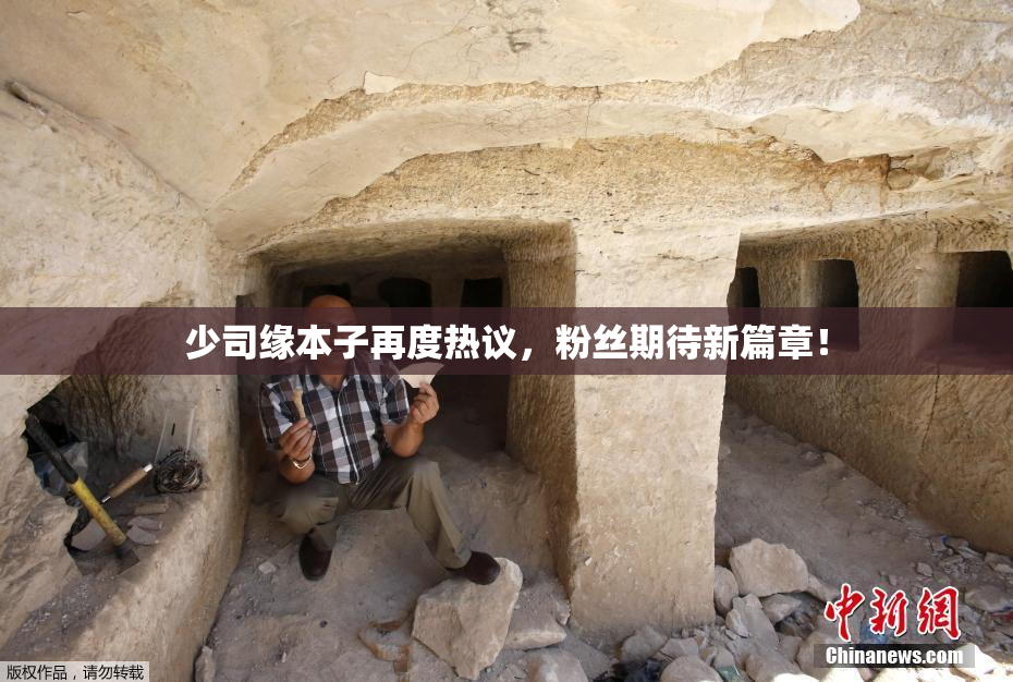 少司缘本子再度热议，粉丝期待新篇章！