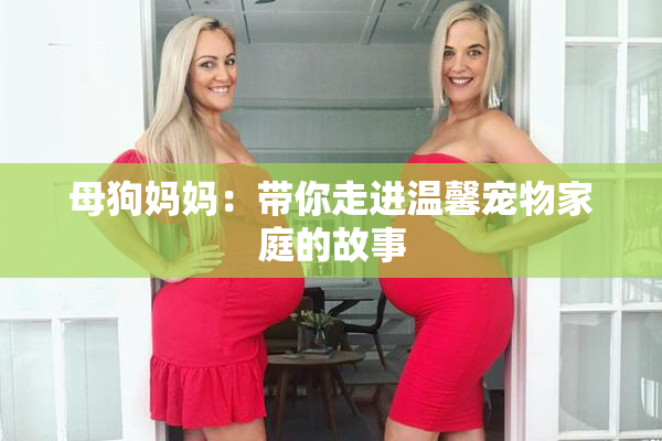 母狗妈妈：带你走进温馨宠物家庭的故事