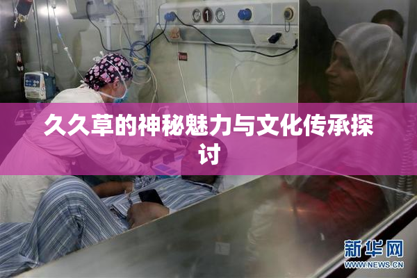 久久草的神秘魅力与文化传承探讨