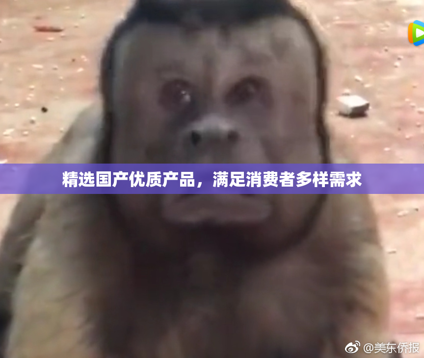 精选国产优质产品，满足消费者多样需求