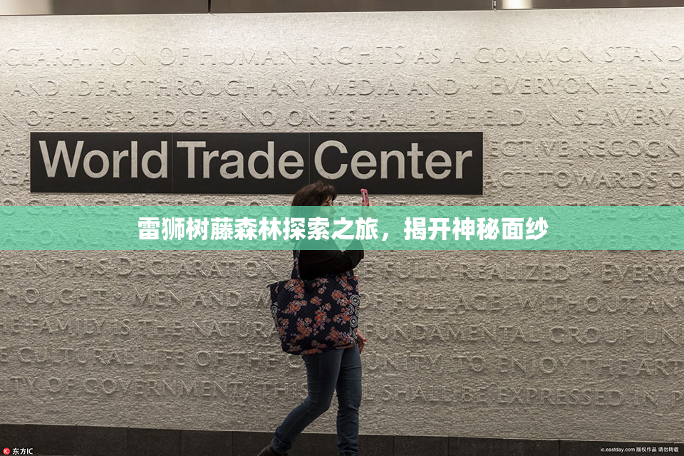 雷狮树藤森林探索之旅，揭开神秘面纱