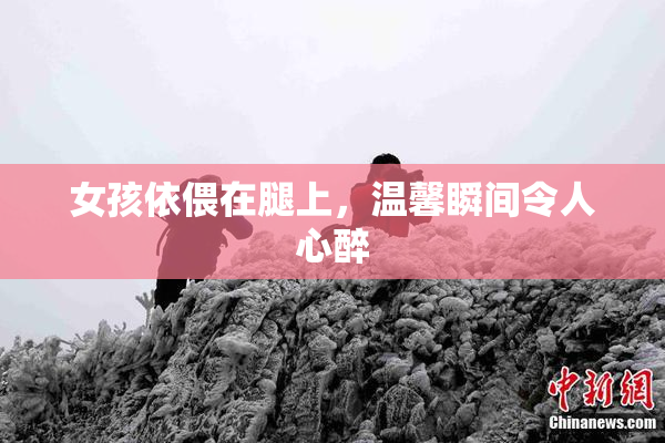 女孩依偎在腿上，温馨瞬间令人心醉