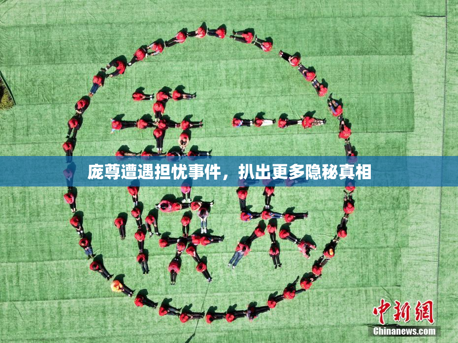 庞尊遭遇担忧事件，扒出更多隐秘真相