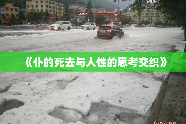 《仆的死去与人性的思考交织》