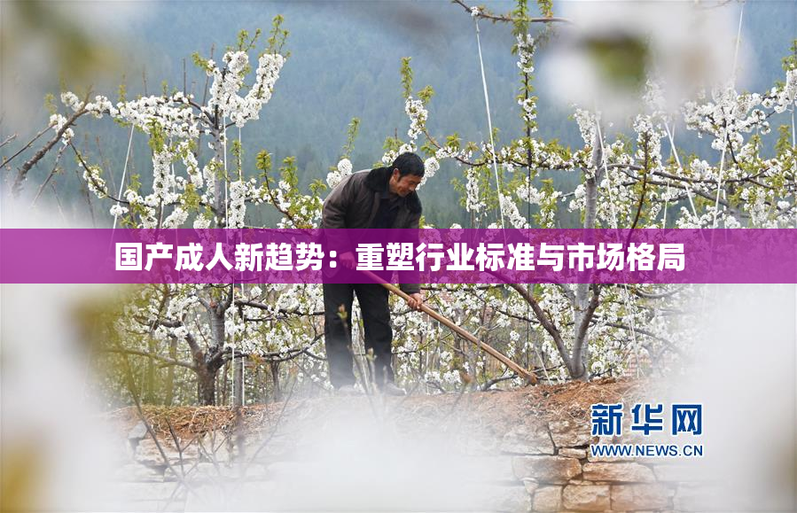 国产成人新趋势：重塑行业标准与市场格局