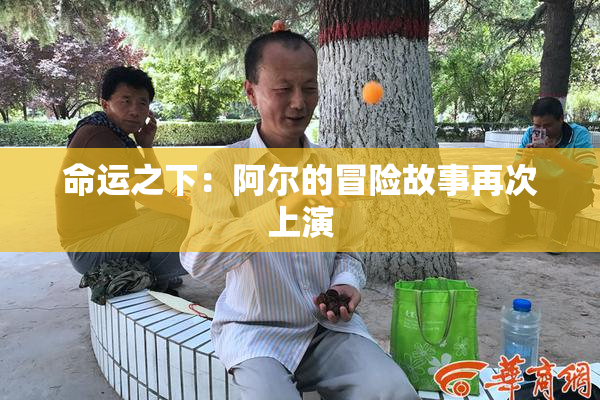 命运之下：阿尔的冒险故事再次上演