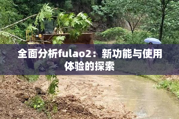 全面分析fulao2：新功能与使用体验的探索