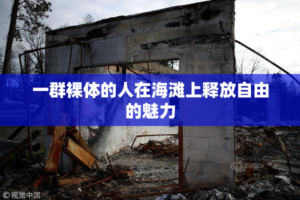 一群裸体的人在海滩上释放自由的魅力