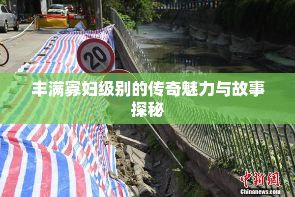 丰满寡妇级别的传奇魅力与故事探秘