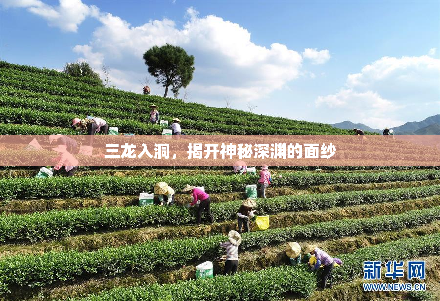 三龙入洞，揭开神秘深渊的面纱