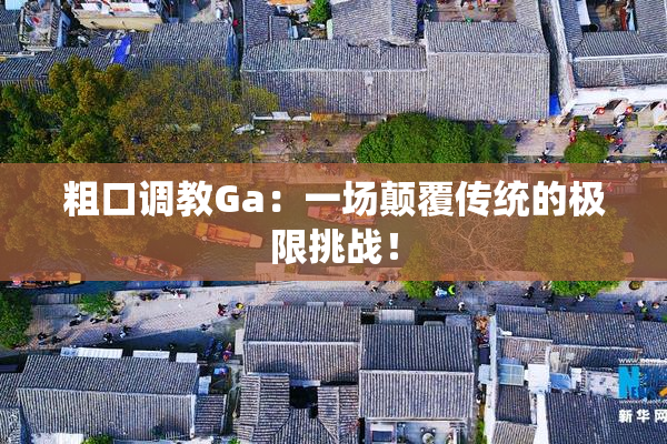 粗口调教Ga：一场颠覆传统的极限挑战！