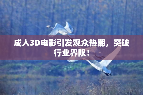成人3D电影引发观众热潮，突破行业界限！