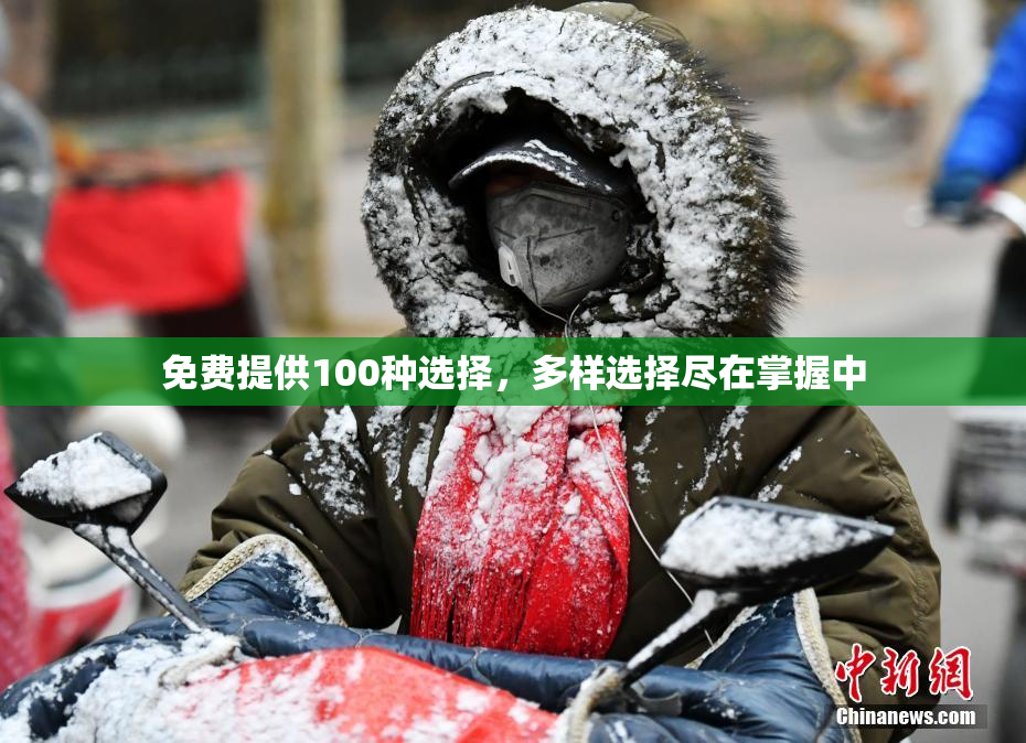 免费提供100种选择，多样选择尽在掌握中