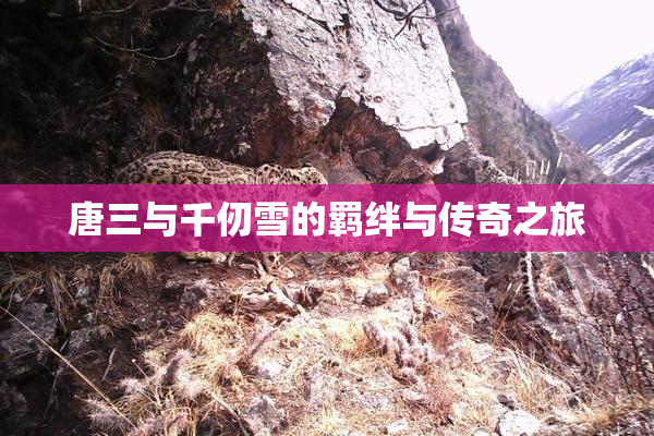 唐三与千仞雪的羁绊与传奇之旅