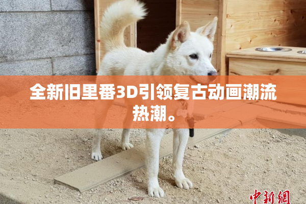 全新旧里番3D引领复古动画潮流热潮。