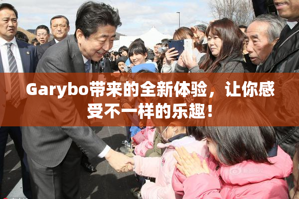Garybo带来的全新体验，让你感受不一样的乐趣！