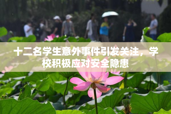 十二名学生意外事件引发关注，学校积极应对安全隐患