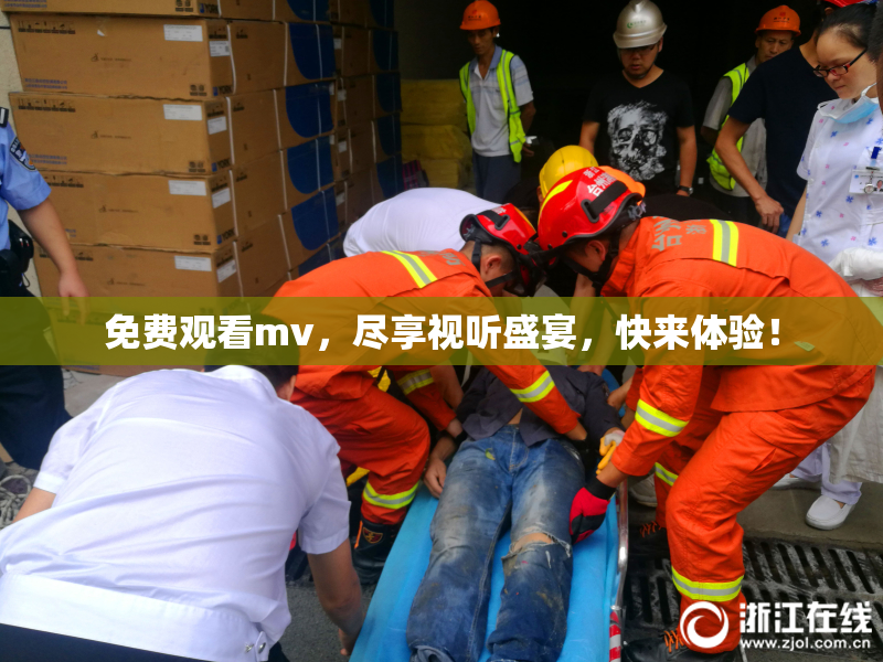 免费观看mv，尽享视听盛宴，快来体验！