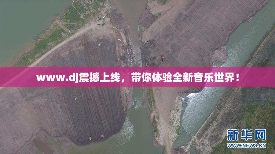 www.dj震撼上线，带你体验全新音乐世界！