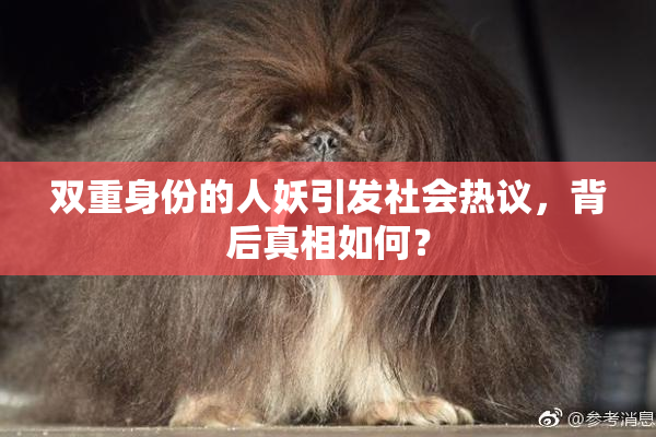 双重身份的人妖引发社会热议，背后真相如何？