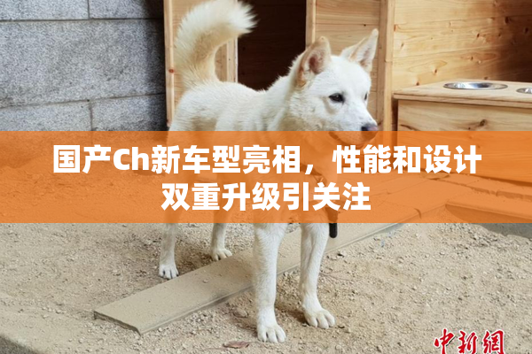 国产Ch新车型亮相，性能和设计双重升级引关注