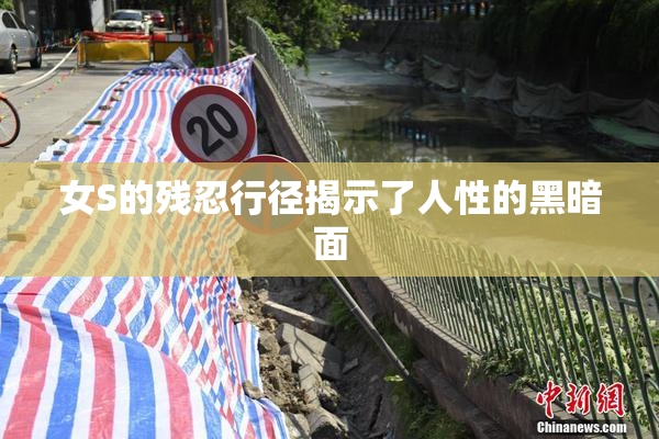女S的残忍行径揭示了人性的黑暗面