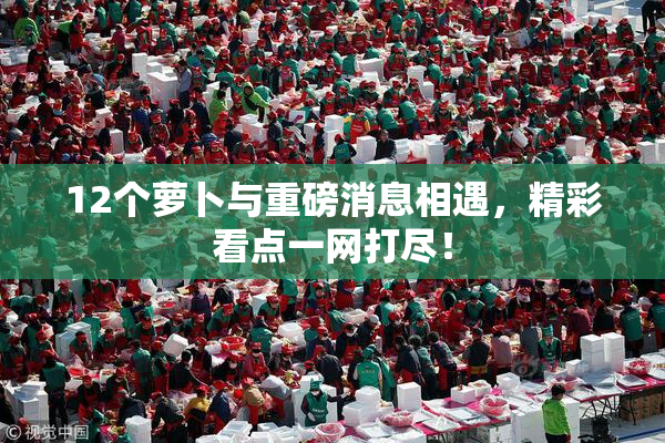 12个萝卜与重磅消息相遇，精彩看点一网打尽！