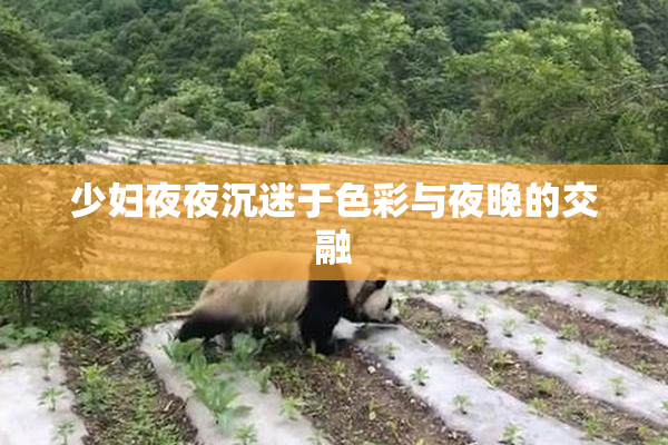 少妇夜夜沉迷于色彩与夜晚的交融