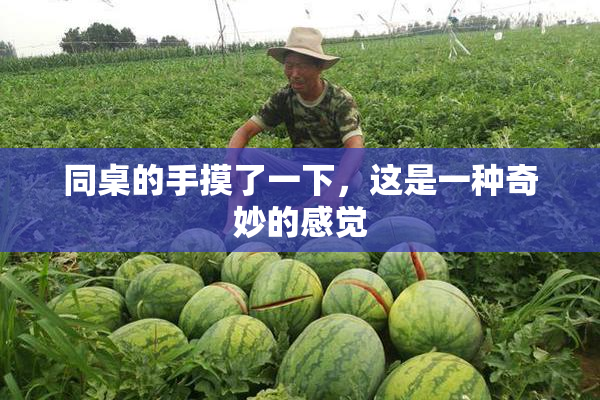 同桌的手摸了一下，这是一种奇妙的感觉