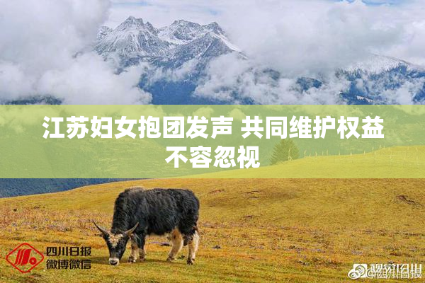 江苏妇女抱团发声 共同维护权益不容忽视