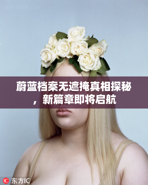 蔚蓝档案无遮掩真相探秘，新篇章即将启航