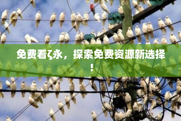 免费看ζ永，探索免费资源新选择！