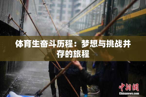 体育生奋斗历程：梦想与挑战并存的旅程