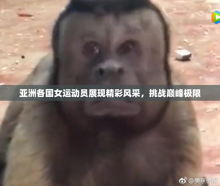 亚洲各国女运动员展现精彩风采，挑战巅峰极限