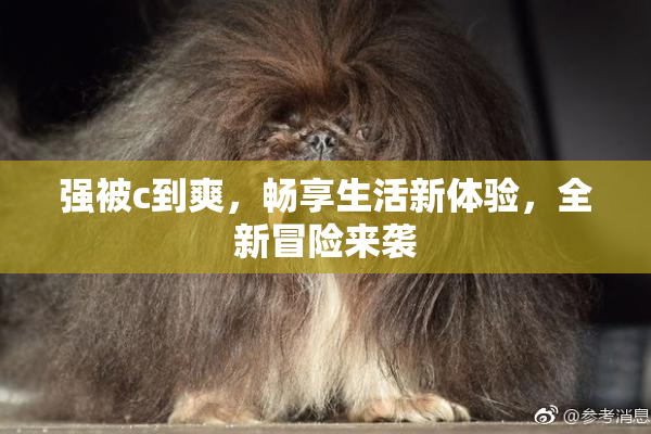 强被c到爽，畅享生活新体验，全新冒险来袭