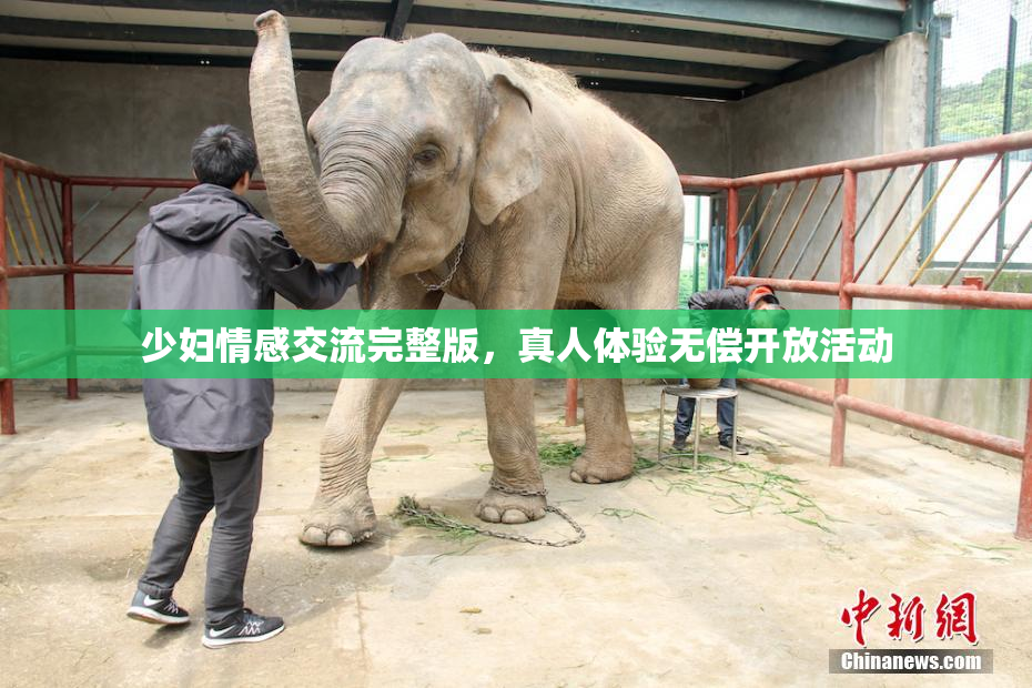 少妇情感交流完整版，真人体验无偿开放活动