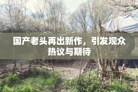 国产老头再出新作，引发观众热议与期待