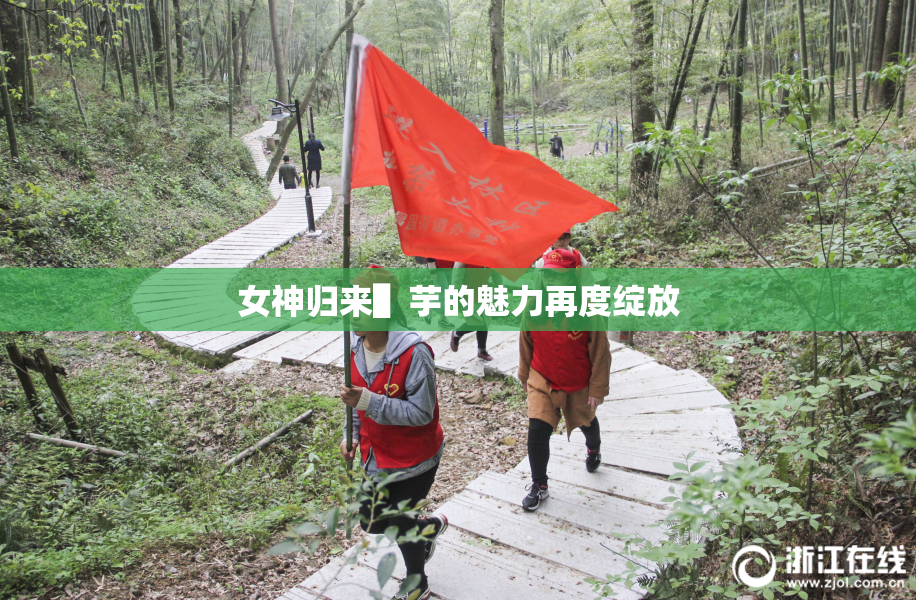 女神归来▌芋的魅力再度绽放
