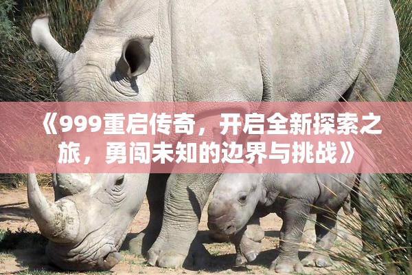 《999重启传奇，开启全新探索之旅，勇闯未知的边界与挑战》
