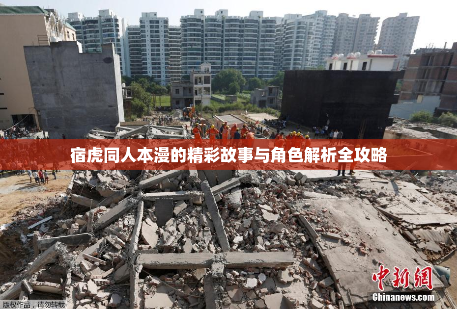 宿虎同人本漫的精彩故事与角色解析全攻略