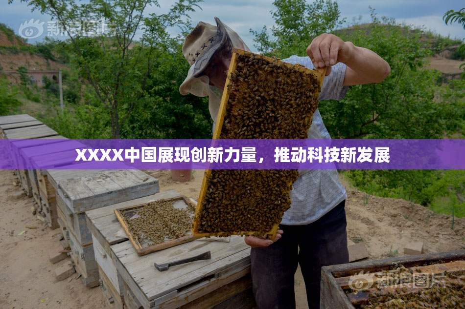 XXXX中国展现创新力量，推动科技新发展
