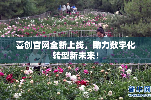 喜创官网全新上线，助力数字化转型新未来！