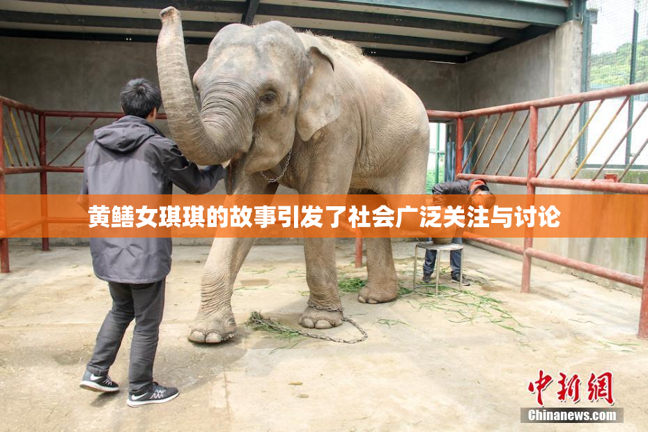黄鳝女琪琪的故事引发了社会广泛关注与讨论